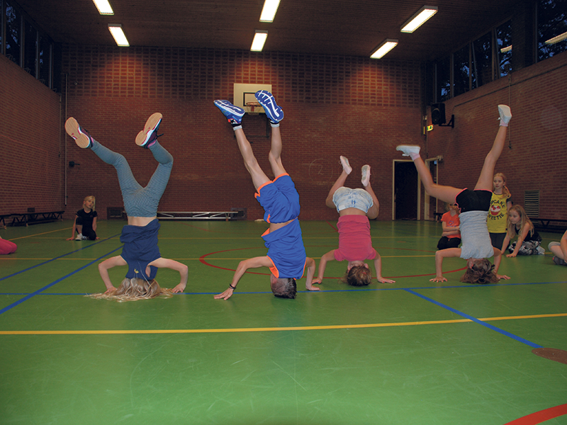 Gymvereniging Voorst: Ons profiel!