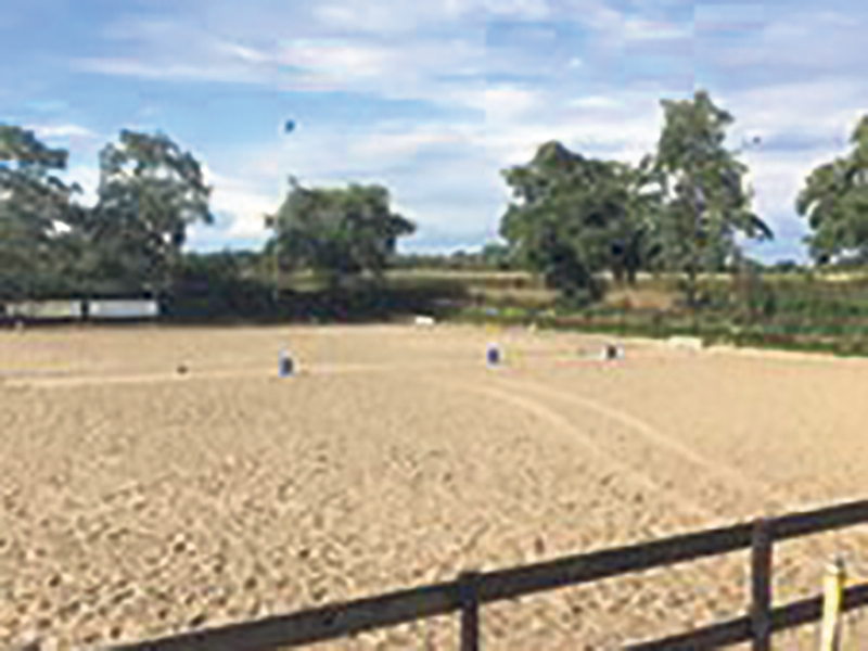 Pony- en Paarden Sport Vereniging Bussloo (PPSV Bussloo)